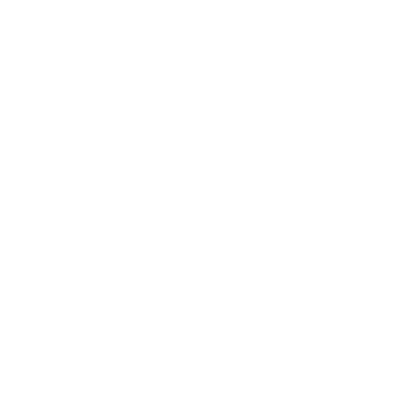 the diverse experiences and perspectives of our communities in our programs and practices.